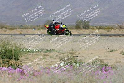 media/Feb-04-2023-SoCal Trackdays (Sat) [[8a776bf2c3]]/Turn 15 Inside Blooming (1050am)/